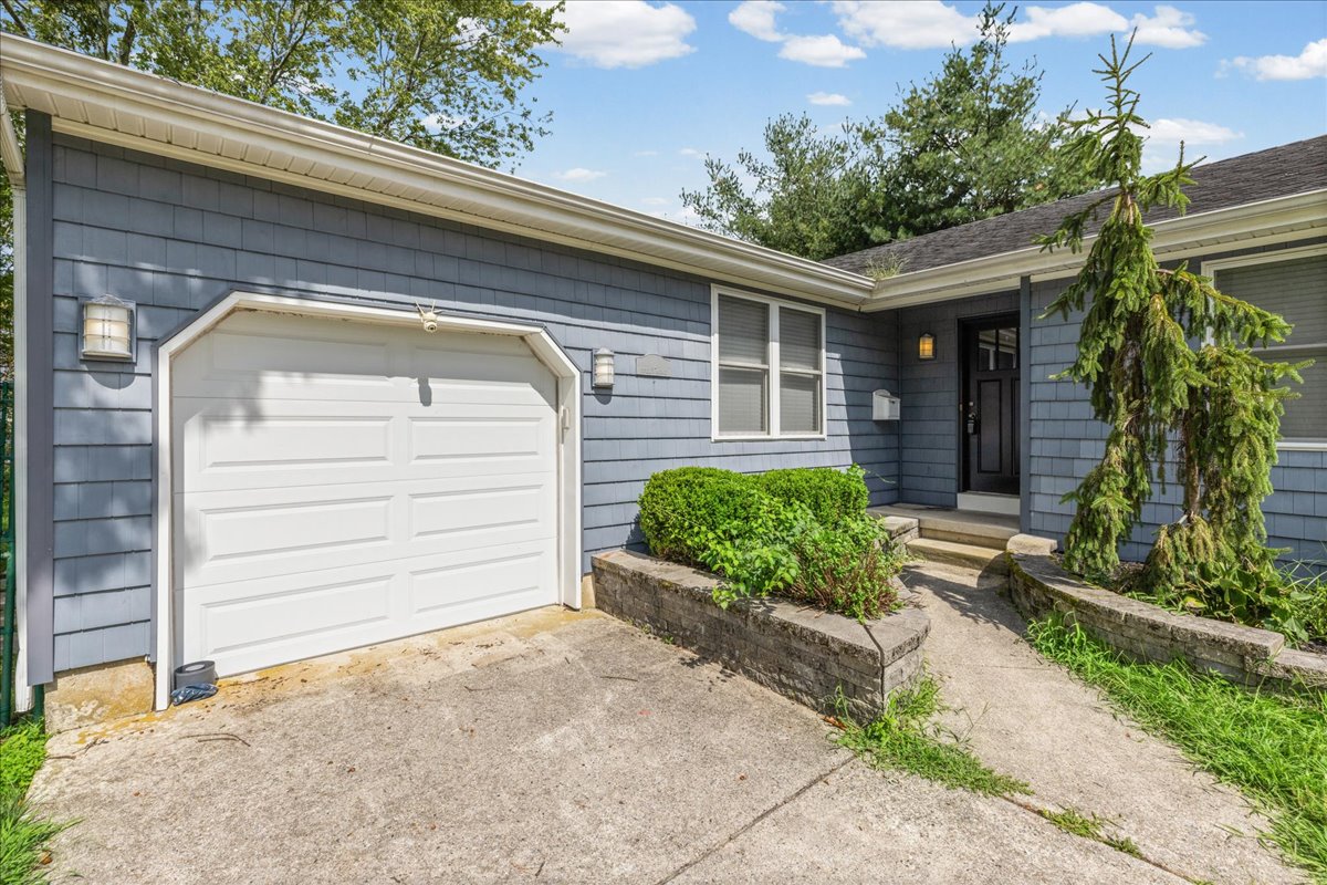 11 Fifield Ave.